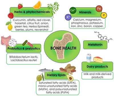 Nutraceuticals in osteoporosis prevention